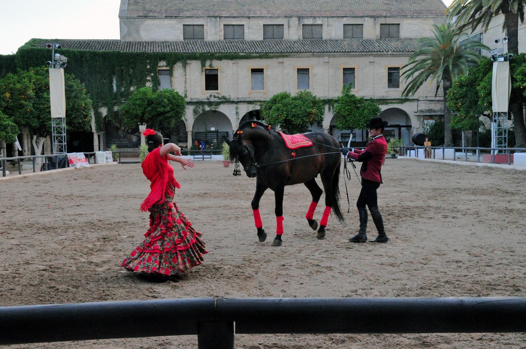 Je vous le jure ! Ce cheval danse sur la musique de Flamenco et semble y prendre beaucoup de plaisir