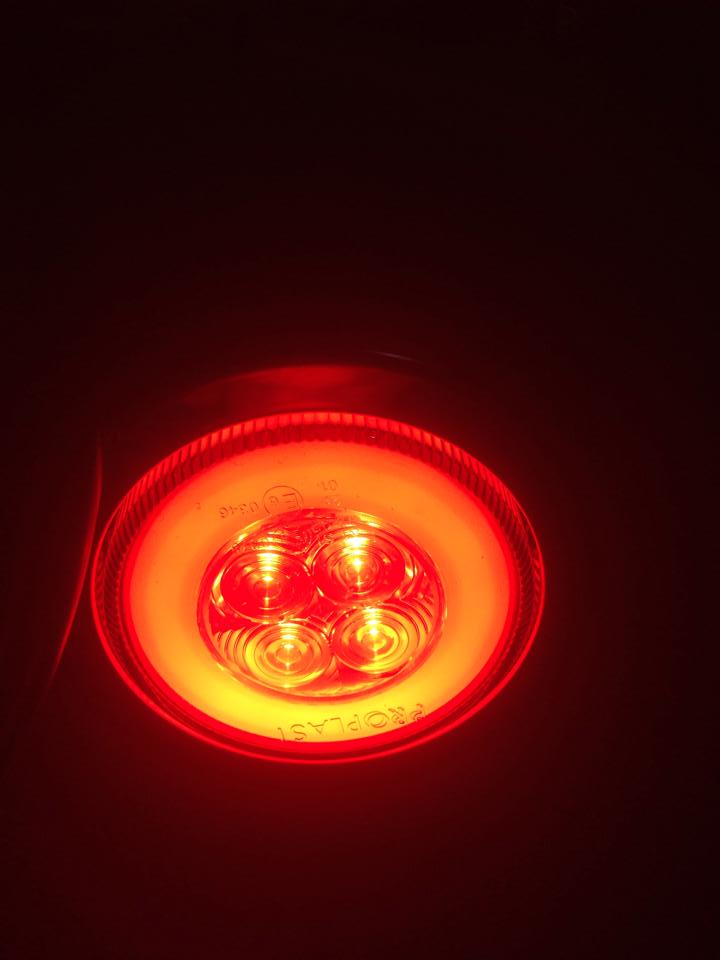 10356477_4286544739797_481971220_n.jpg