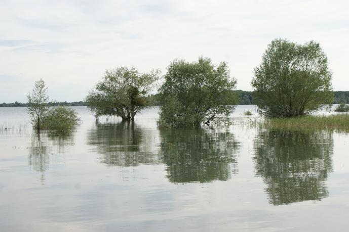 le lac d'orient