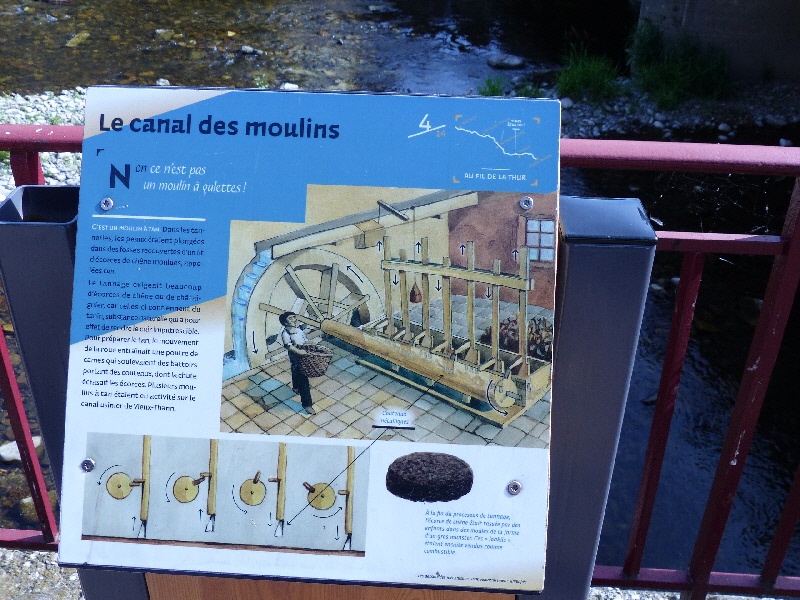 P1010661(1).JPG