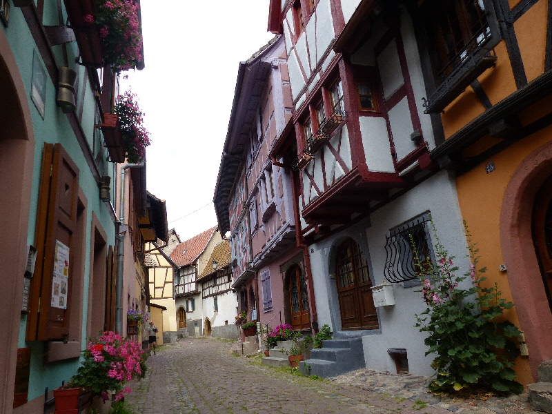 P1020004(1).JPG