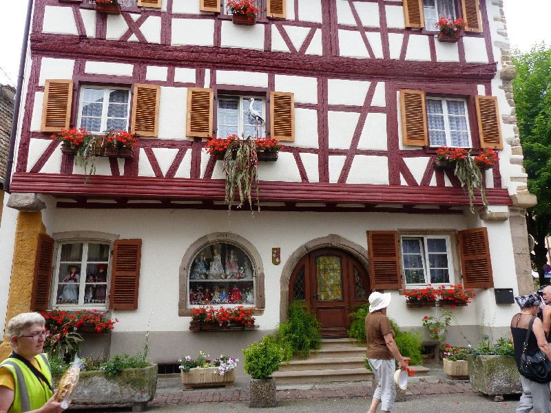 P1020059(1).JPG
