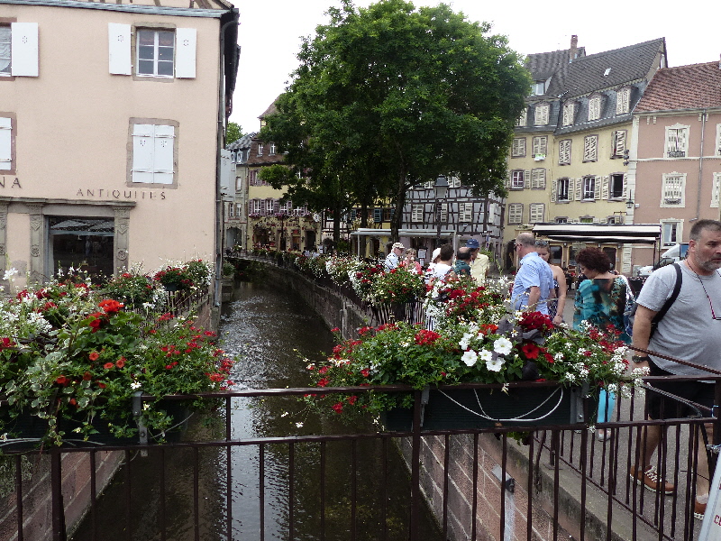 P1020083(1).JPG