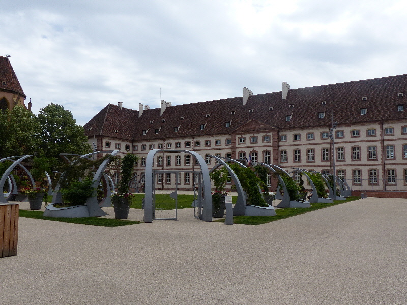 P1020091(1).JPG