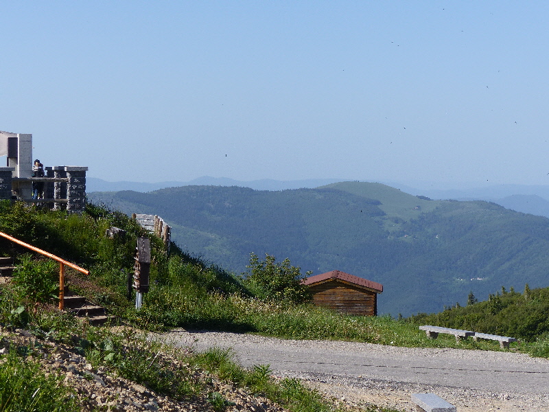 P1010742(1).JPG