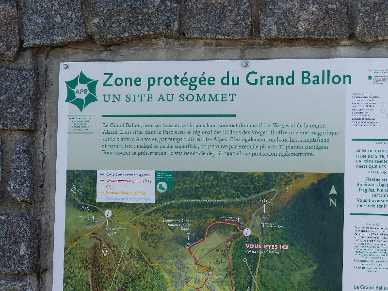 P1010744(1).JPG