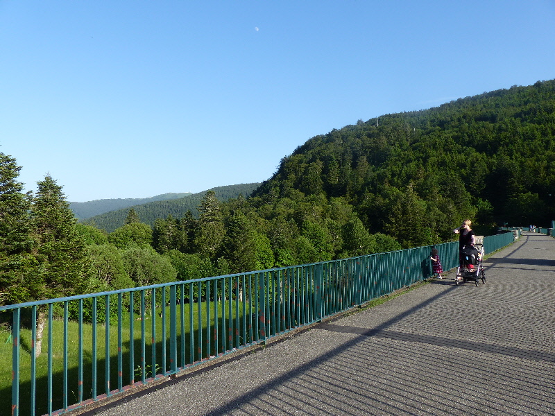 P1010794(1).JPG