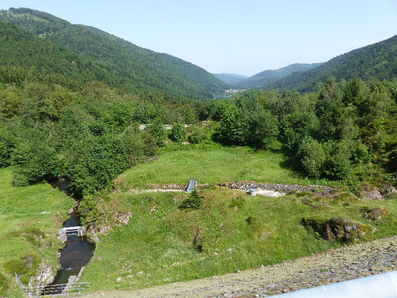 P1010825(1).JPG