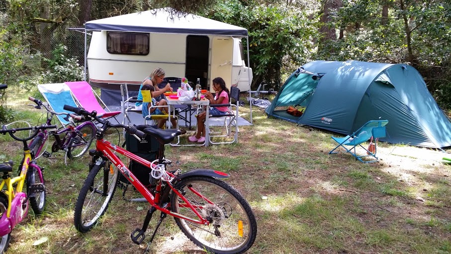 20140805_154433.jpg