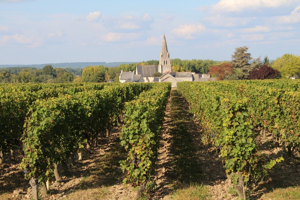 loireàvélo2014 195 (Copier).JPG