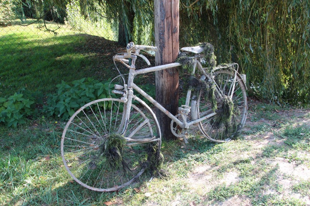 loireàvélo2014 263 (Copier).JPG