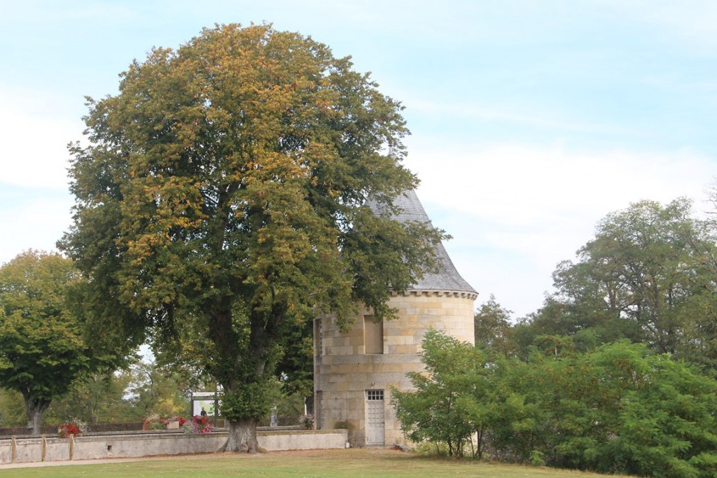 loireàvélo2014 586 (Copier).JPG