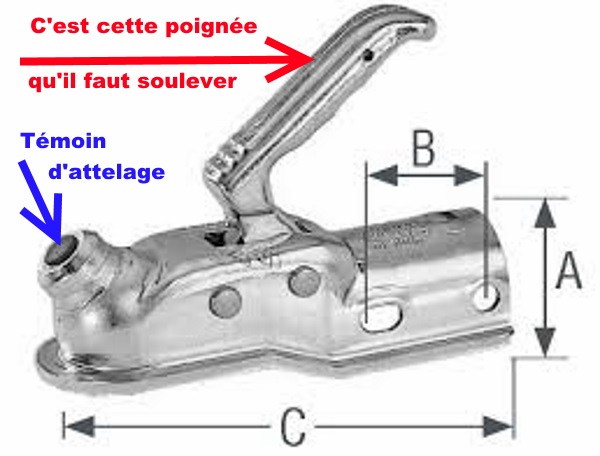 tête d'attelage.jpg