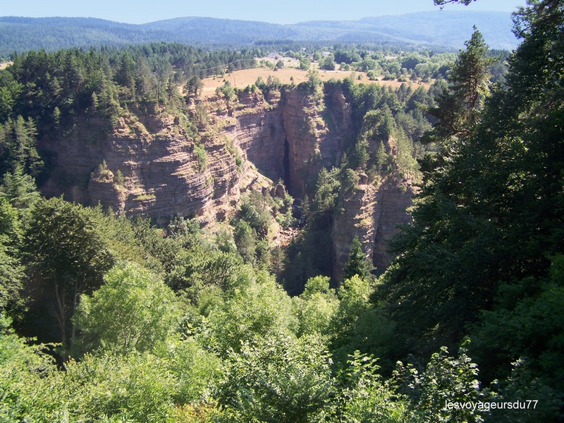 100_1647-1.JPG