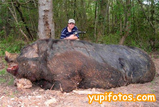 jabali-gigante.jpg