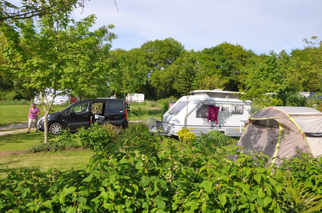 DSC_6920.JPG