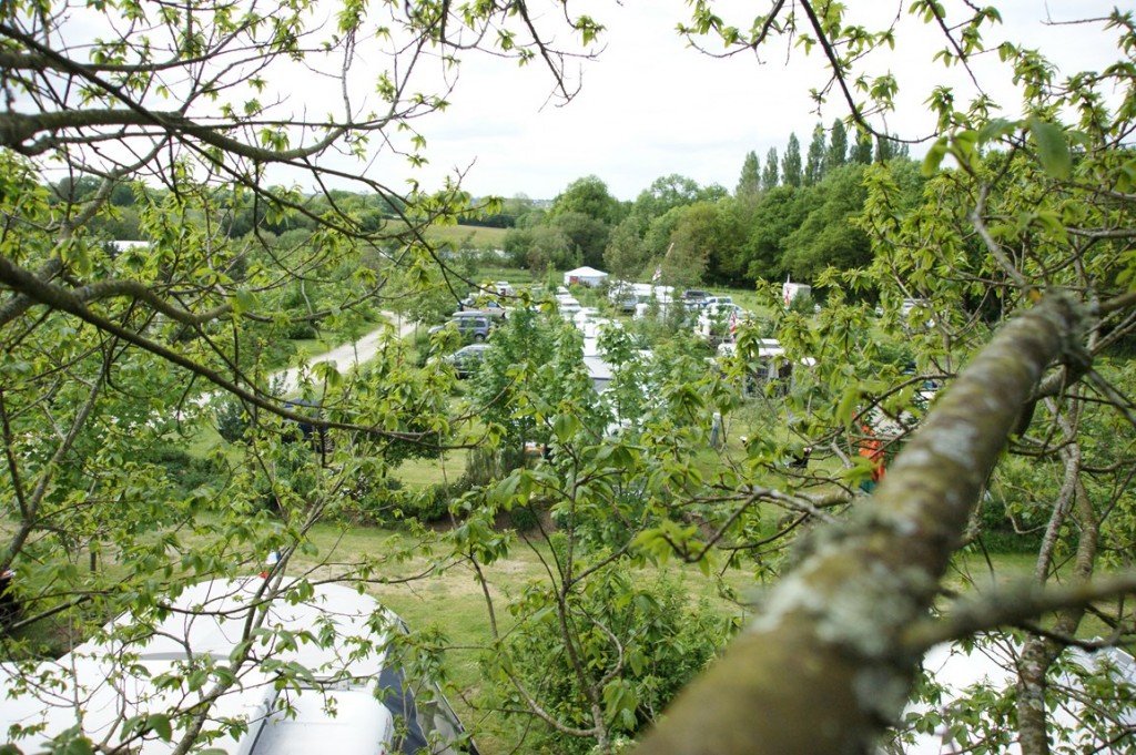monter dans un arbre pour la photo c'est un peu casse gueule