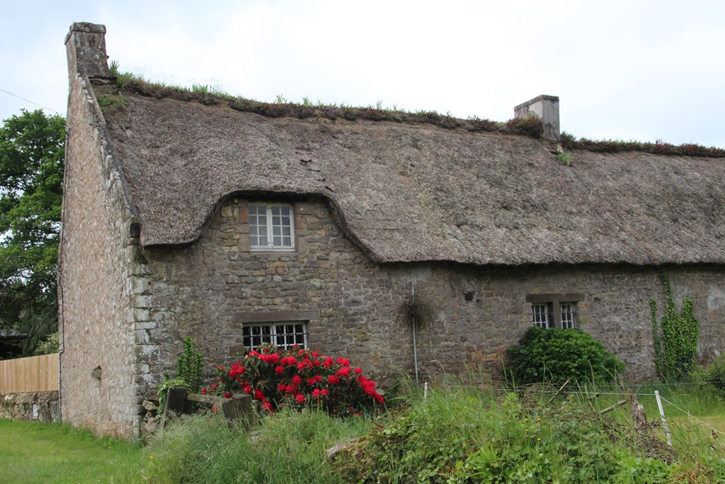 PlougoumelenGDM 038 (Copier).JPG