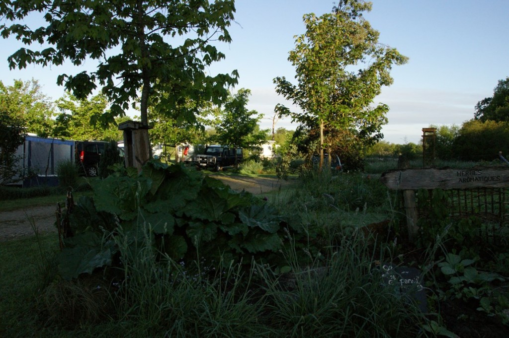 DSC04875 (Copier).JPG