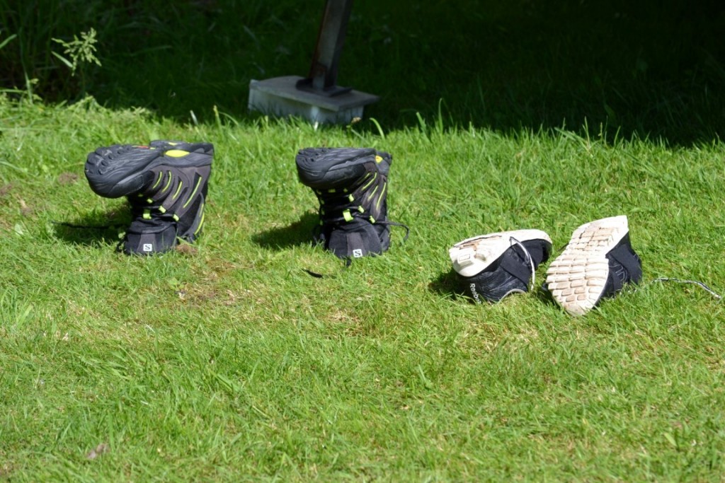 DSC_2392 (Large) (Medium).JPG