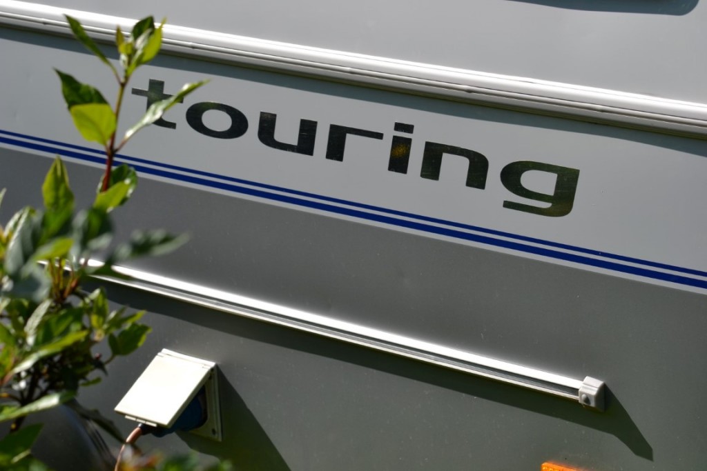 DSC_2414 (Large) (Medium).JPG