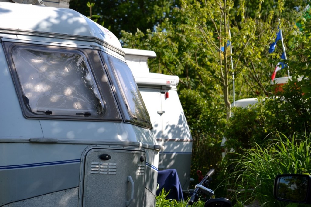 DSC_2423 (Large) (Medium).JPG