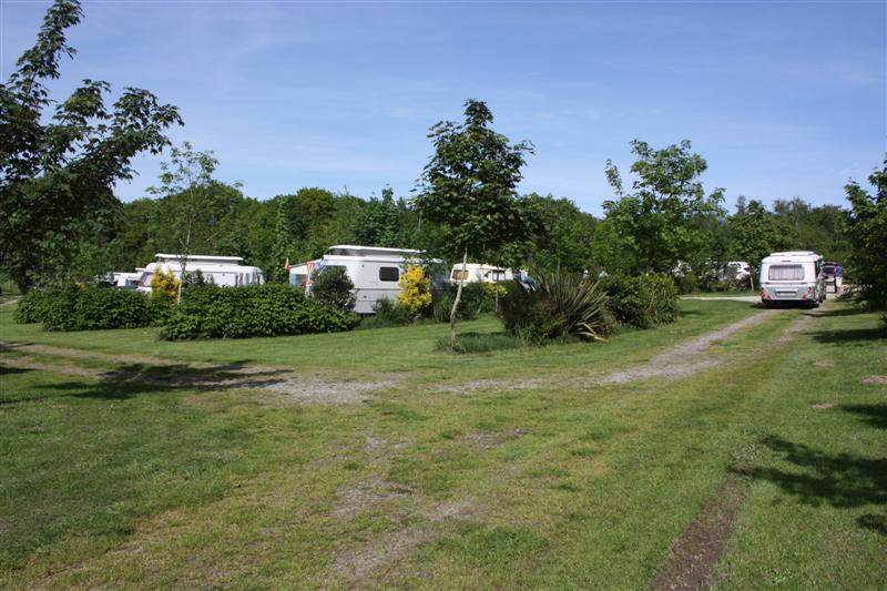 C-450D_0742 (Medium).JPG