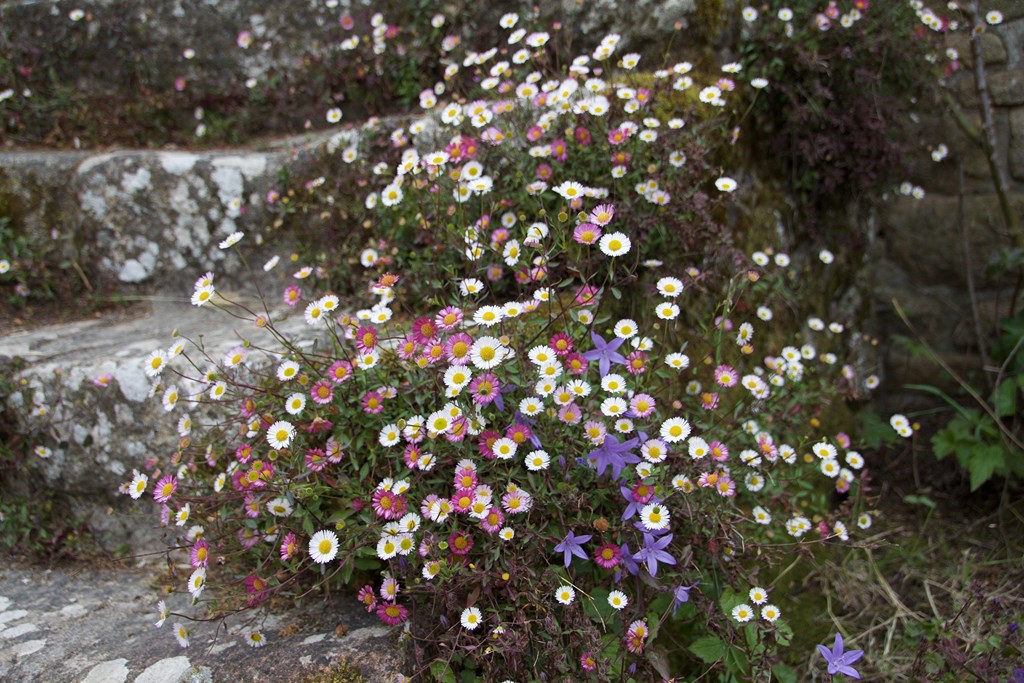 758810288 (Copier).jpg