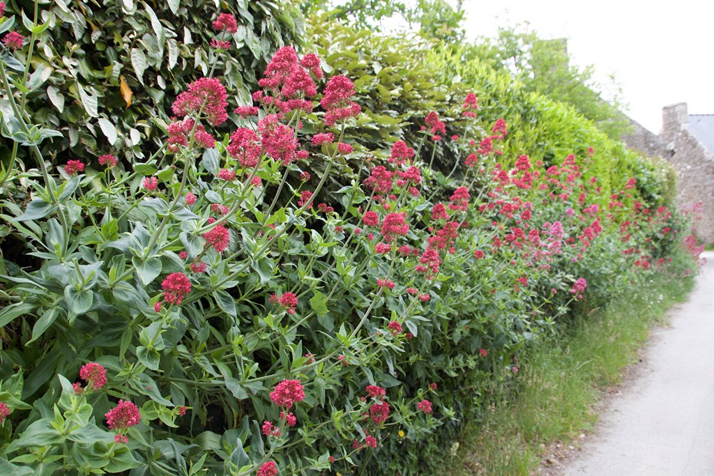 758810290 (Copier).jpg