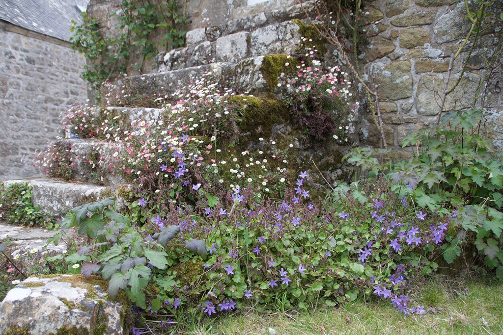 758810293 (Copier).jpg