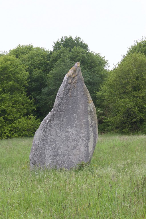 758810310 (Copier).jpg