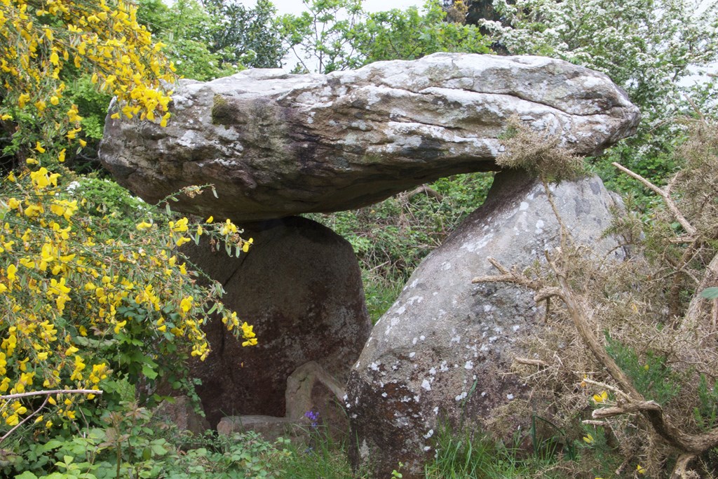 758810311 (Copier).jpg