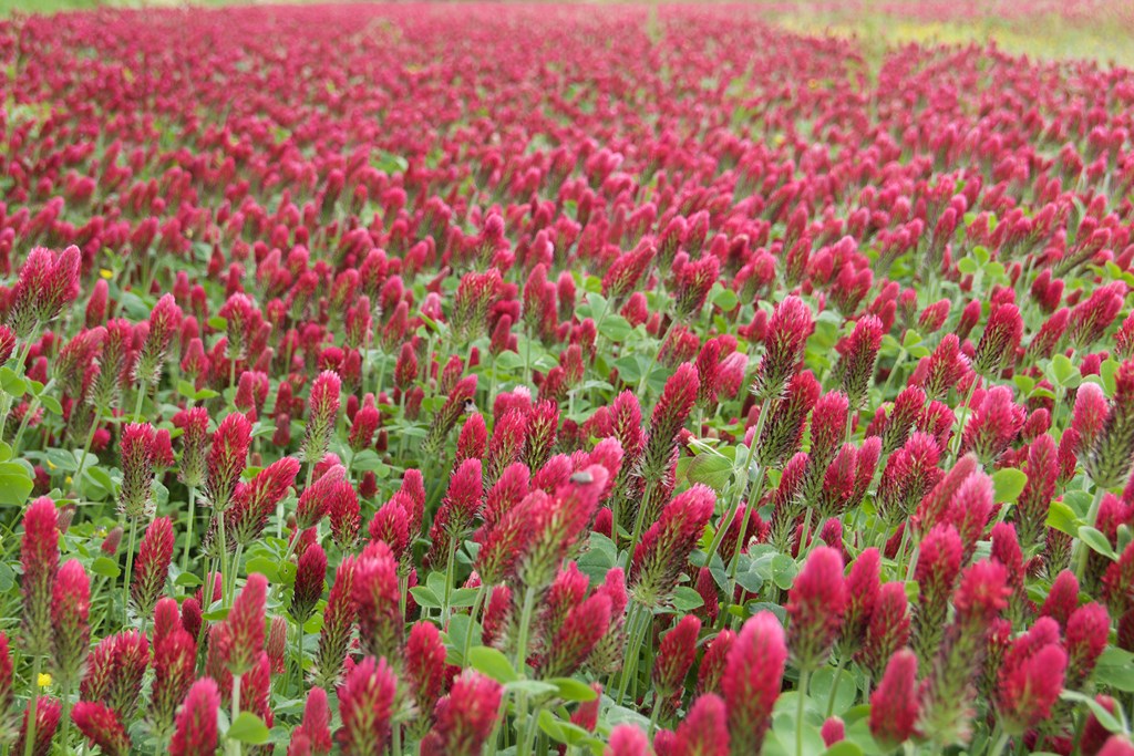 758810321 (Copier).jpg