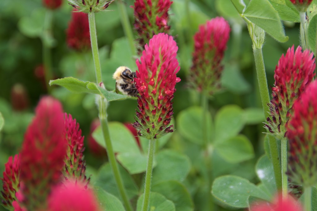 758810327 (Copier).jpg