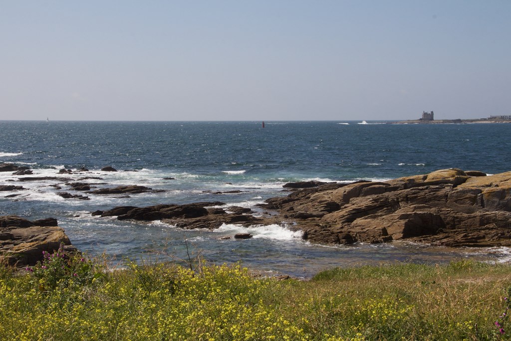 758810338 (Copier).jpg