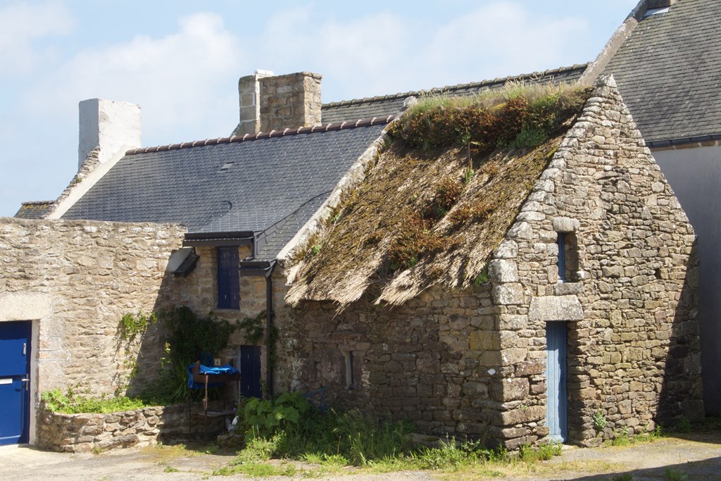 758810359 (Copier).jpg