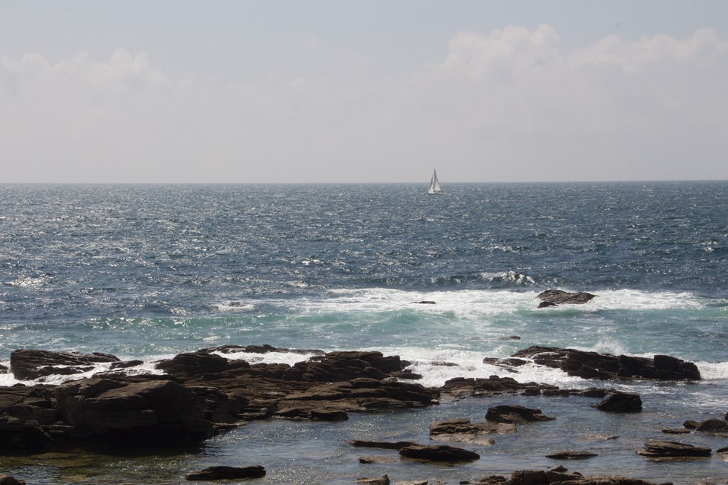 758810348 (Copier).jpg