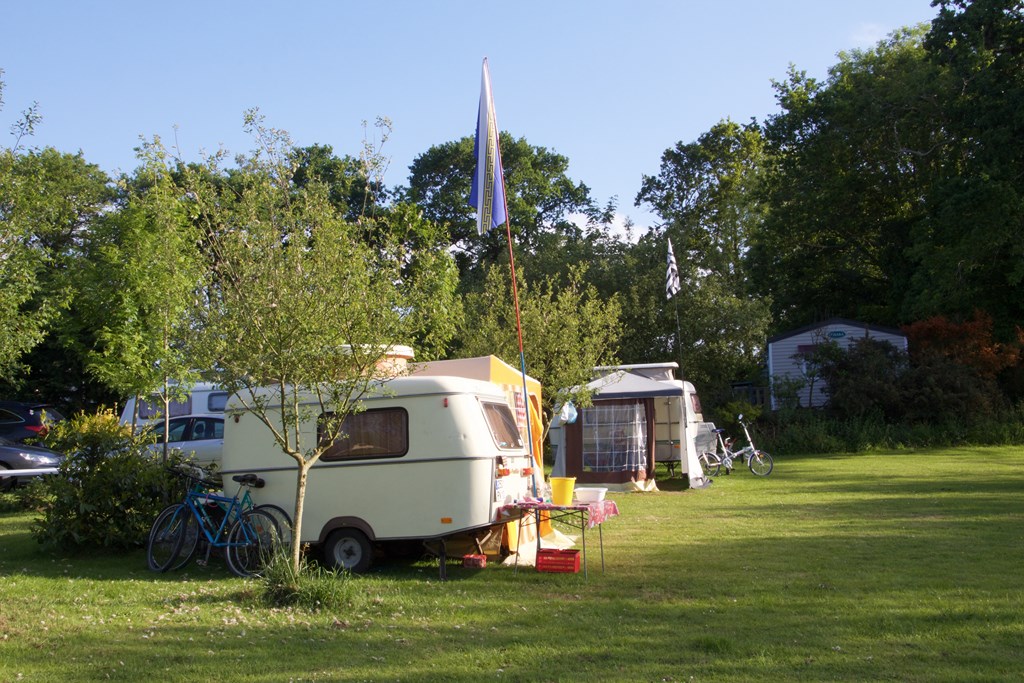 758810388 (Copier).jpg