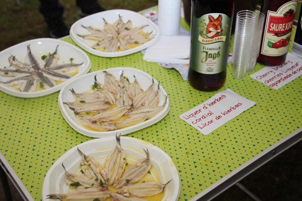 PlougoumelenGDM 582 (Copier).JPG