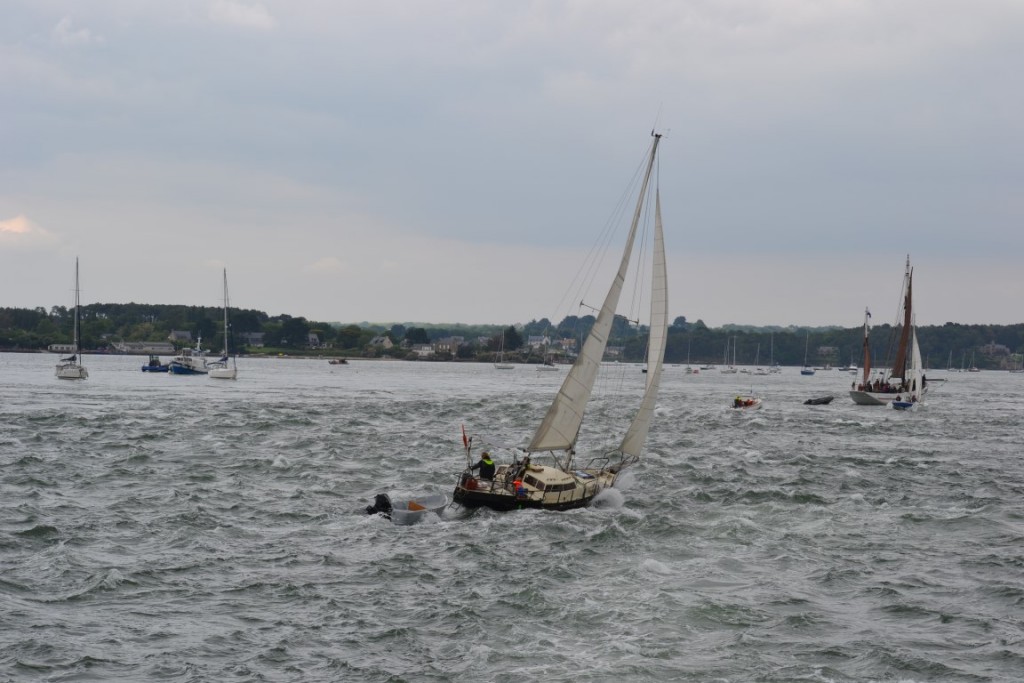 DSC_2245 (Medium).JPG