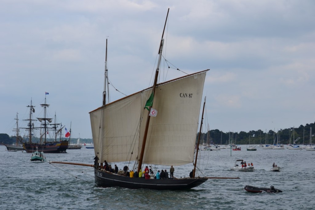 DSC_2369 (Medium).JPG