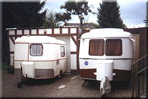 FaunL61_4.JPG