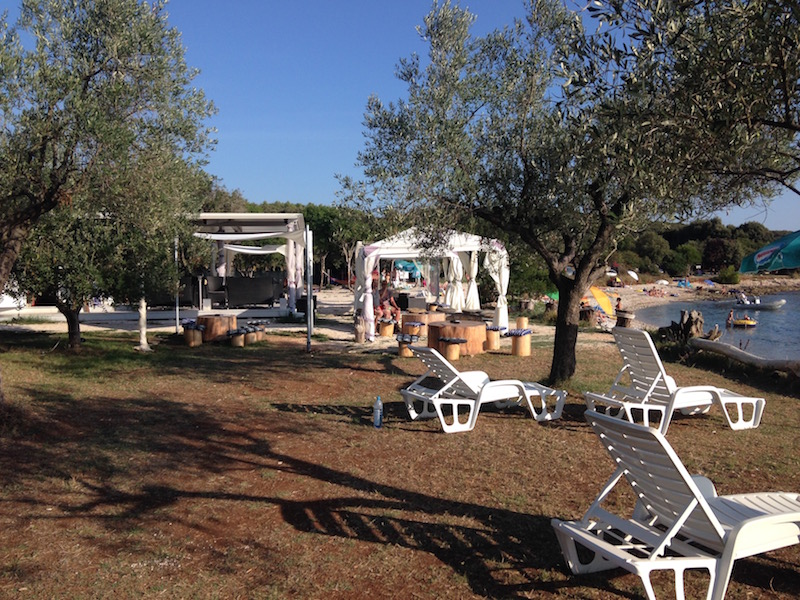 La plage et ses oliviers