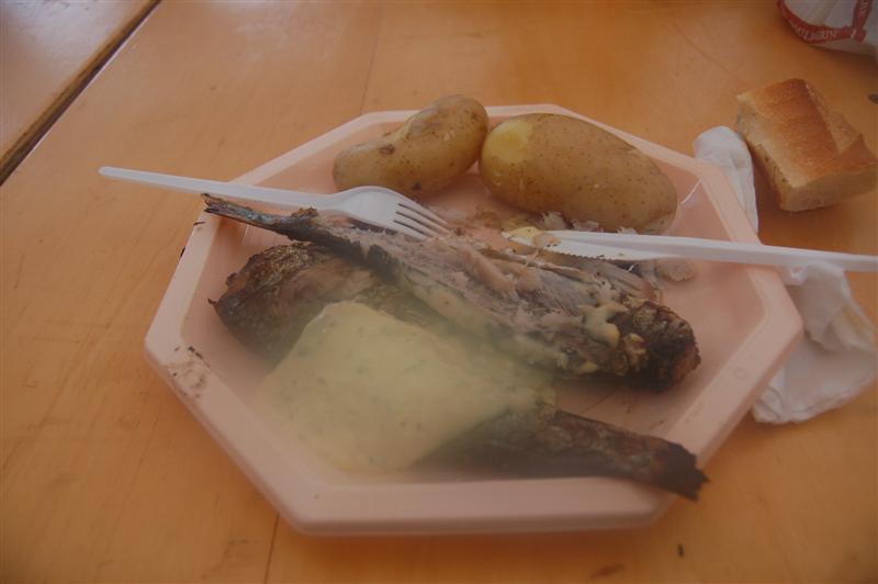 DSC_7878 (Medium).JPG