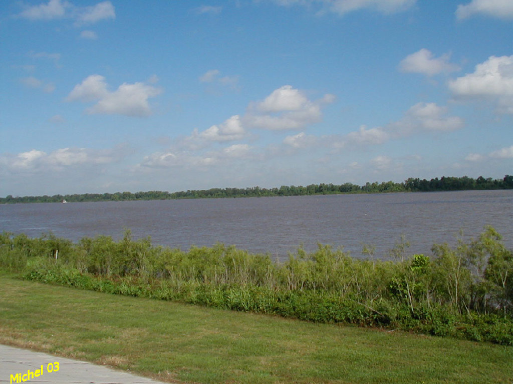 P5030002.jpg