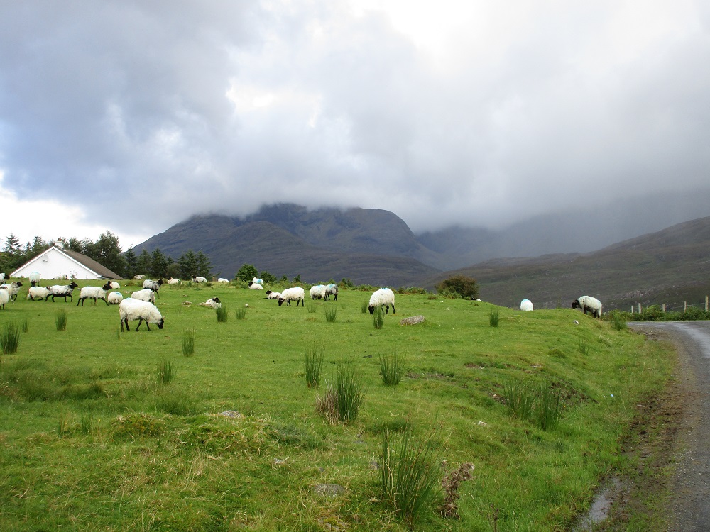 SENTIER DE LA FAMINE RANDO DE 16 KM AU BORD DE KILLARY HARBOUR