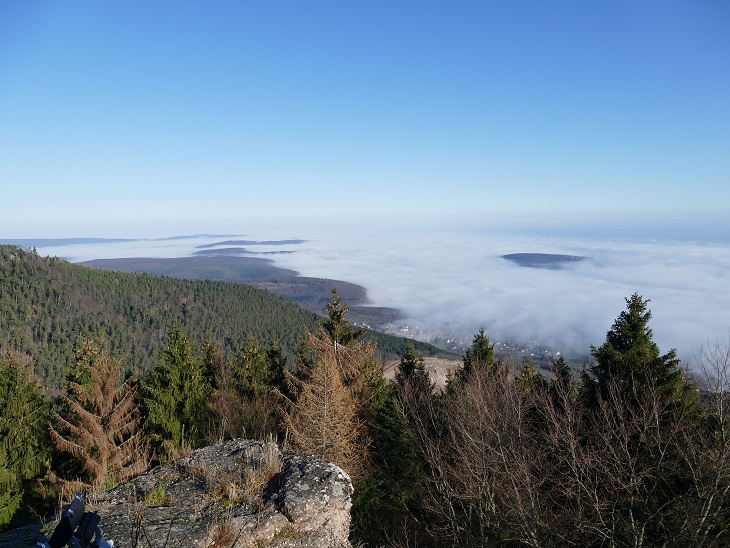 P1050918&.jpg