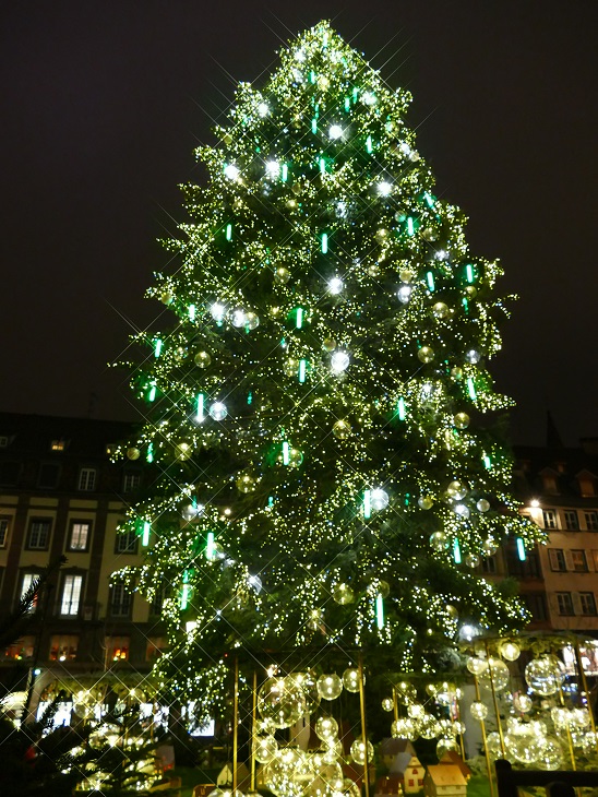P1060122&.jpg