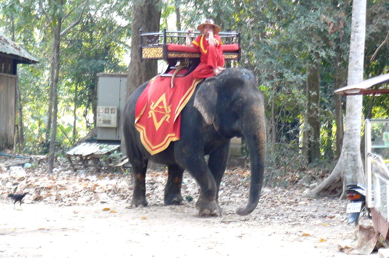aelephantankor.JPG