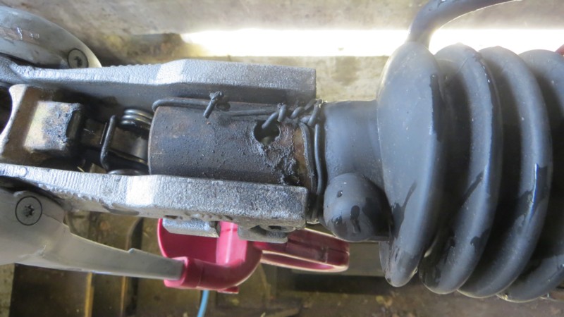 Atelage Triton 3.JPG